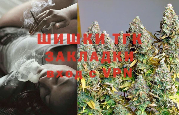 дмт Алексин