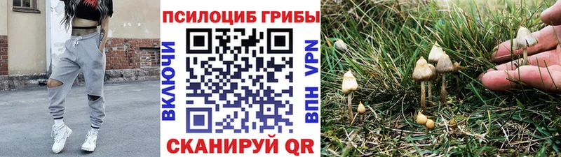 Галлюциногенные грибы ЛСД  дарк нет какой сайт  Данков  купить   мега как войти 